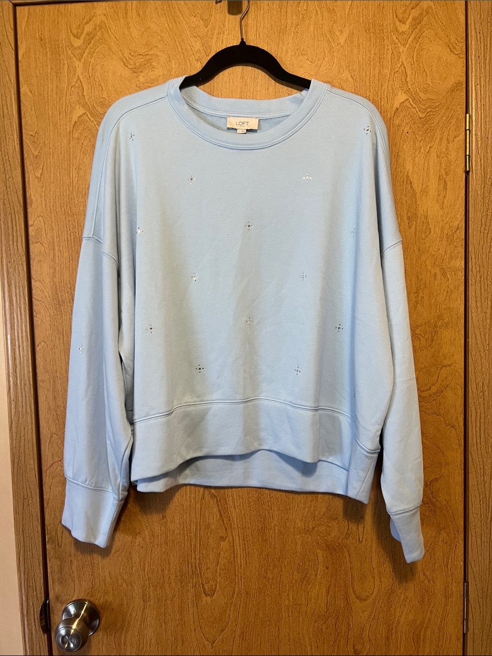 LOFT Pale Blue Eyelet Crewneck Sweater
